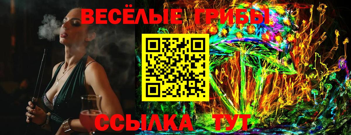Галлюциногенные грибы Psilocybine cubensis Курчалой