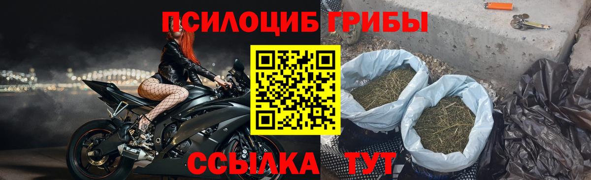 Курчалой  Псилоцибиновые грибы Magic Shrooms  Вход с VPN 